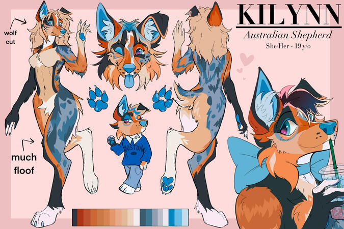 Complex Reference Sheet