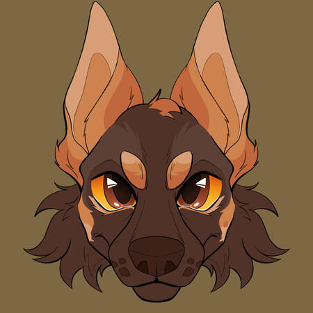 Colored Icon Colored Icon